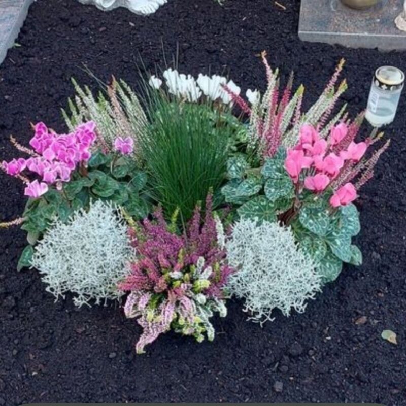 järelhooldus istutatud lilledele