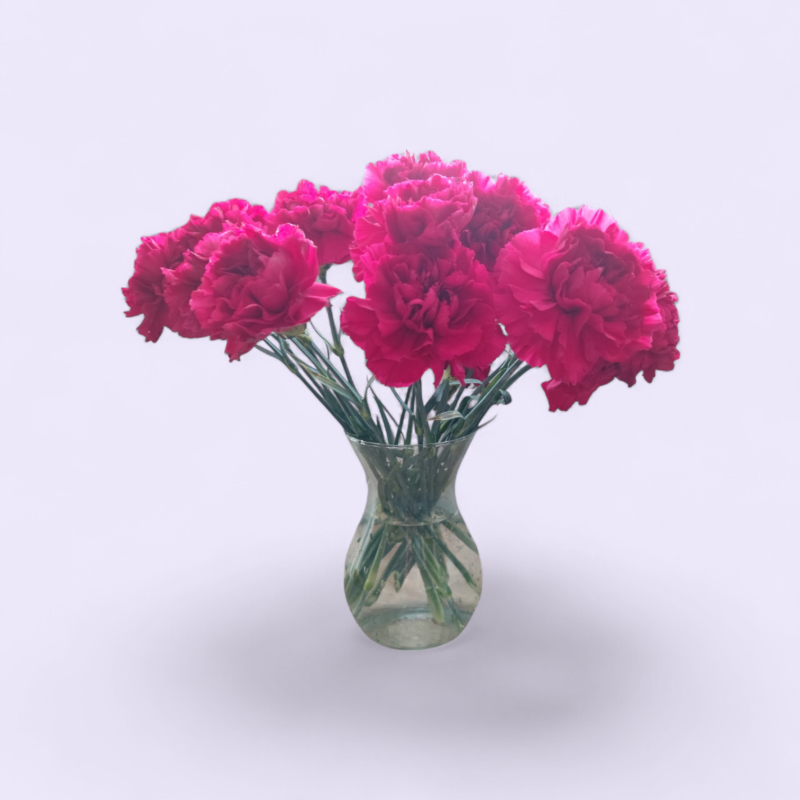 nelgid 10 tk, veeanumas