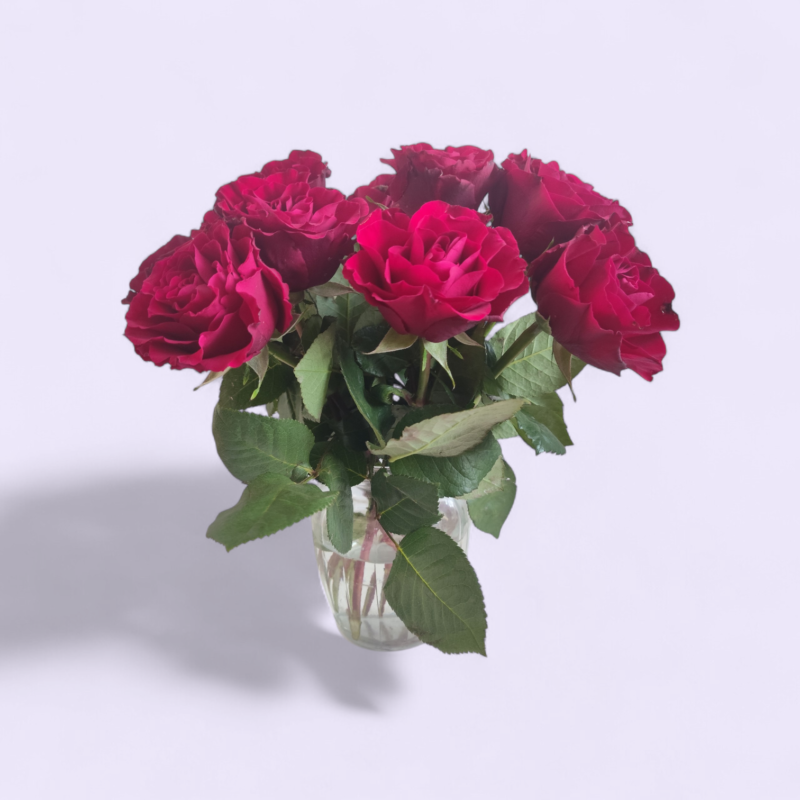 alstromeeriatest lillekimp ( 10 tk)