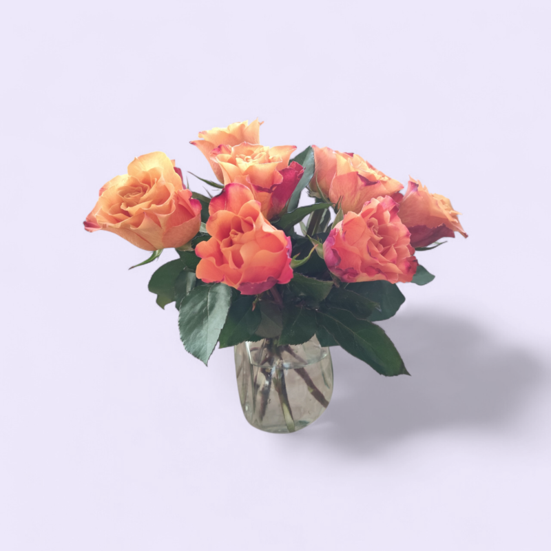 alstromeeriatest lillekimp ( 10 tk)